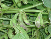 �y�����Ă��܂������A�撣��I