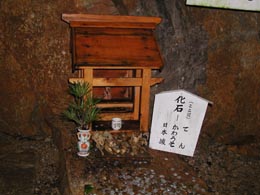 �e���E���키���E���{�T��