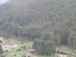 �g�쐙�̎R�Ȃ�